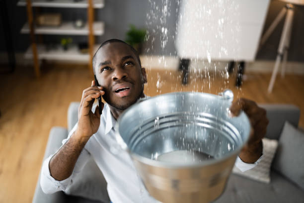 Best Professional water damage repair  in Cascades, VA