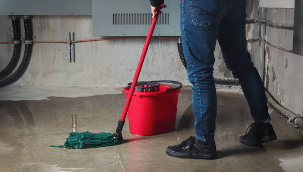 Best Professional water damage repair  in Cascades, VA
