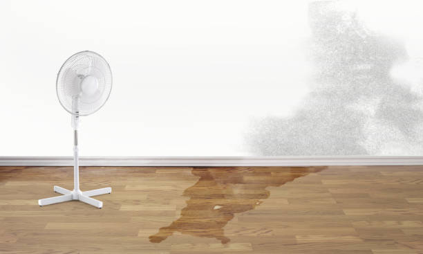 Best Water damage restoration process  in Cascades, VA