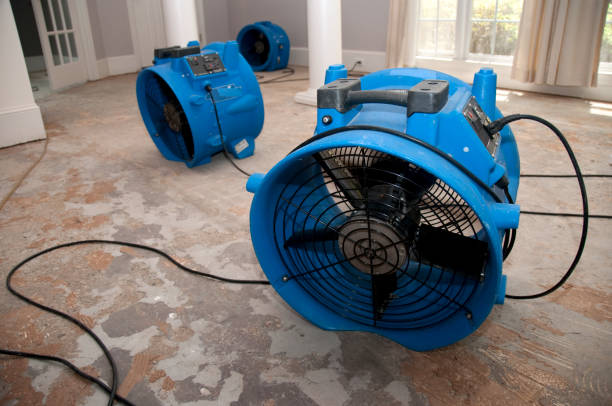 Best Water damage restoration services  in Cascades, VA