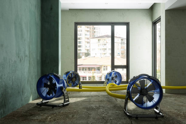 Best Flood restoration services  in Cascades, VA